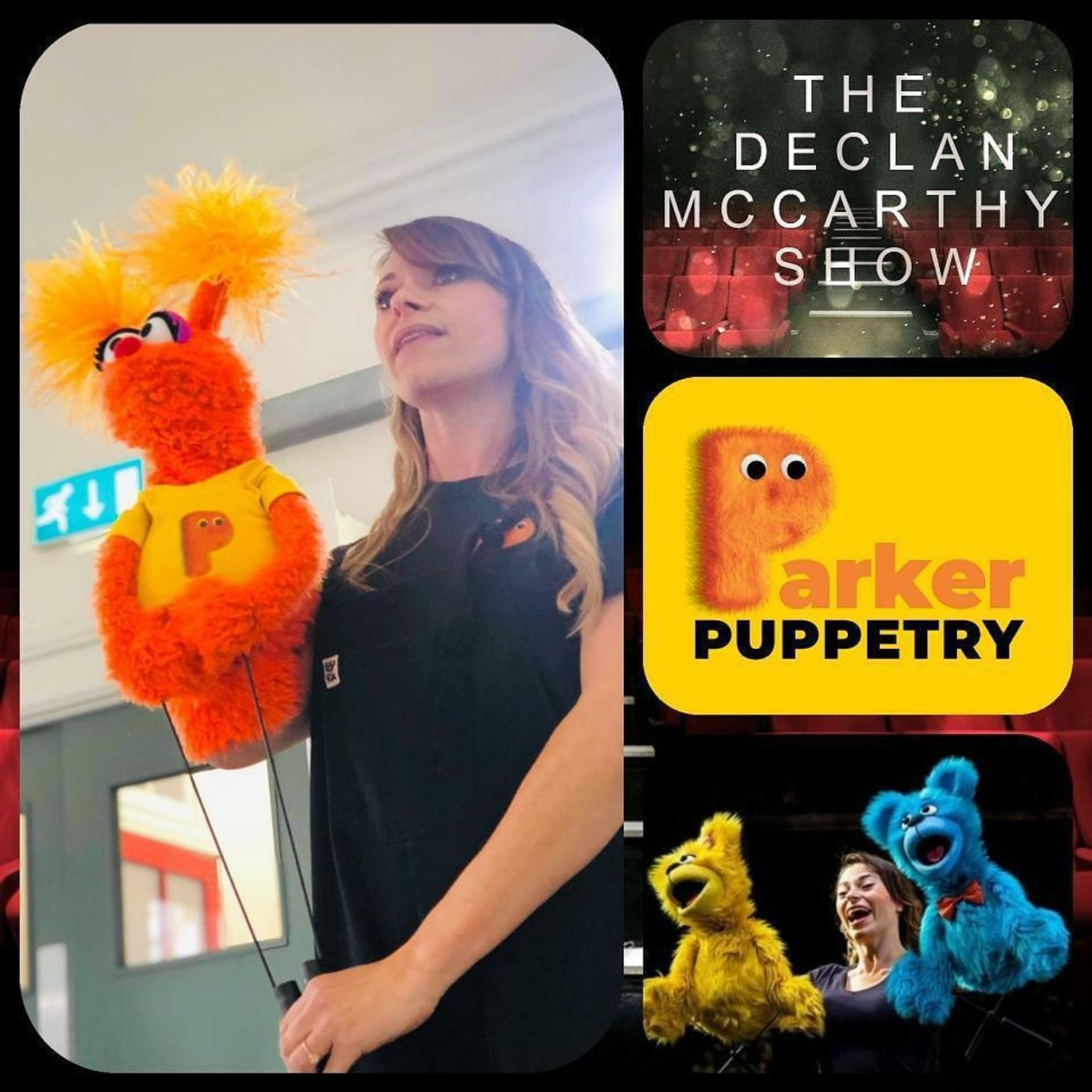 The Declan McCarthy Show
