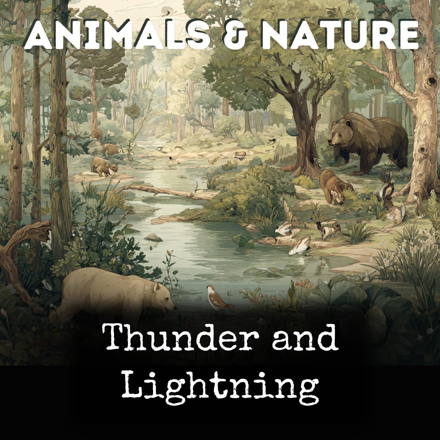 Thunder and Lightning cover art
