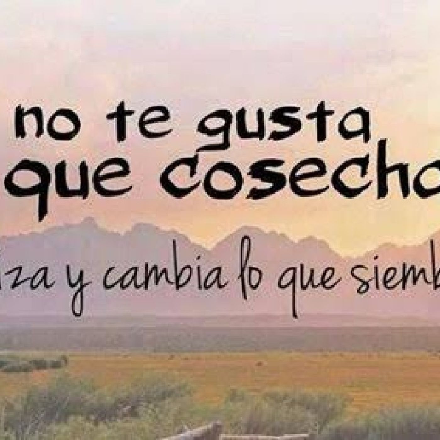 Pensamientos Al Aire