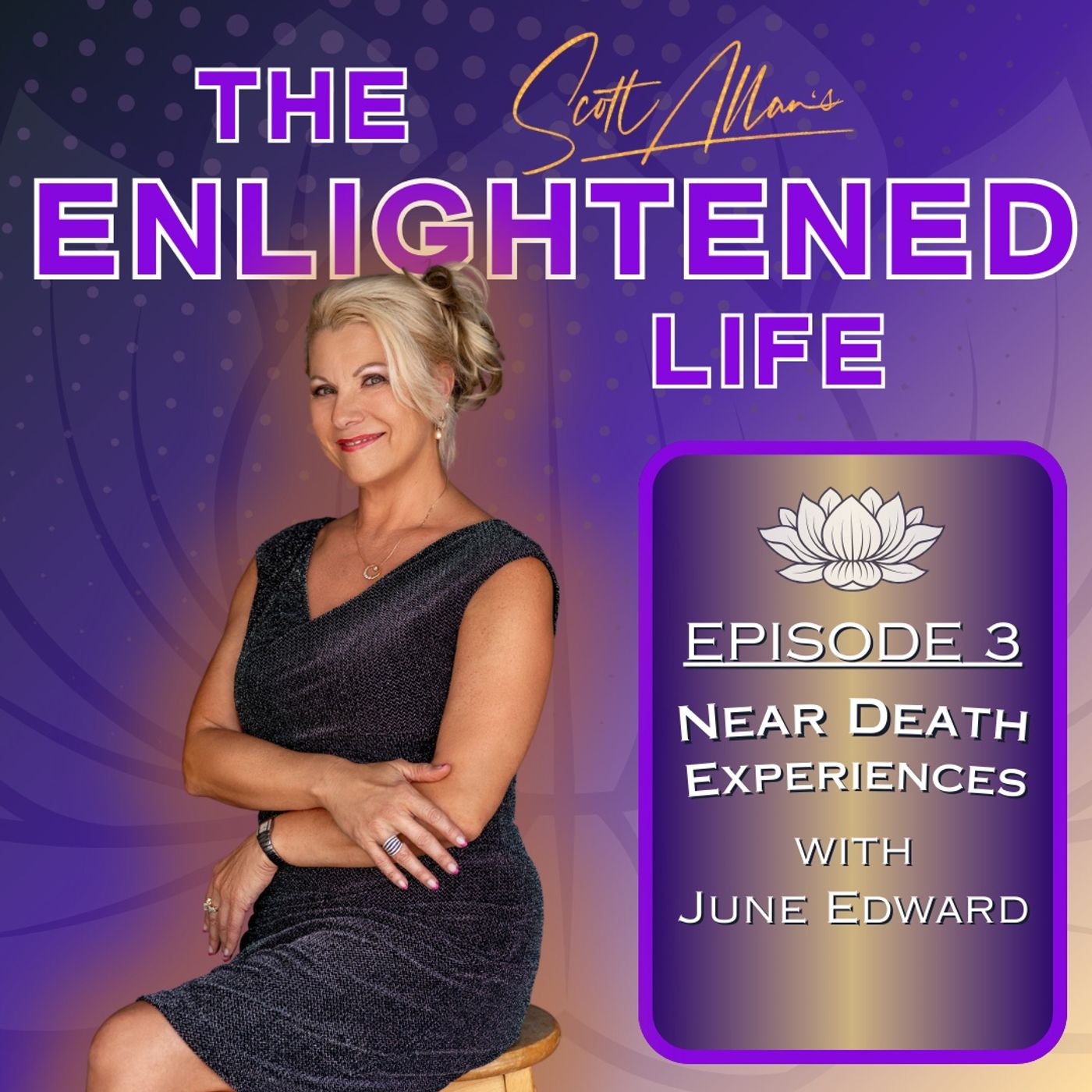 The Enlightened Life Podcast