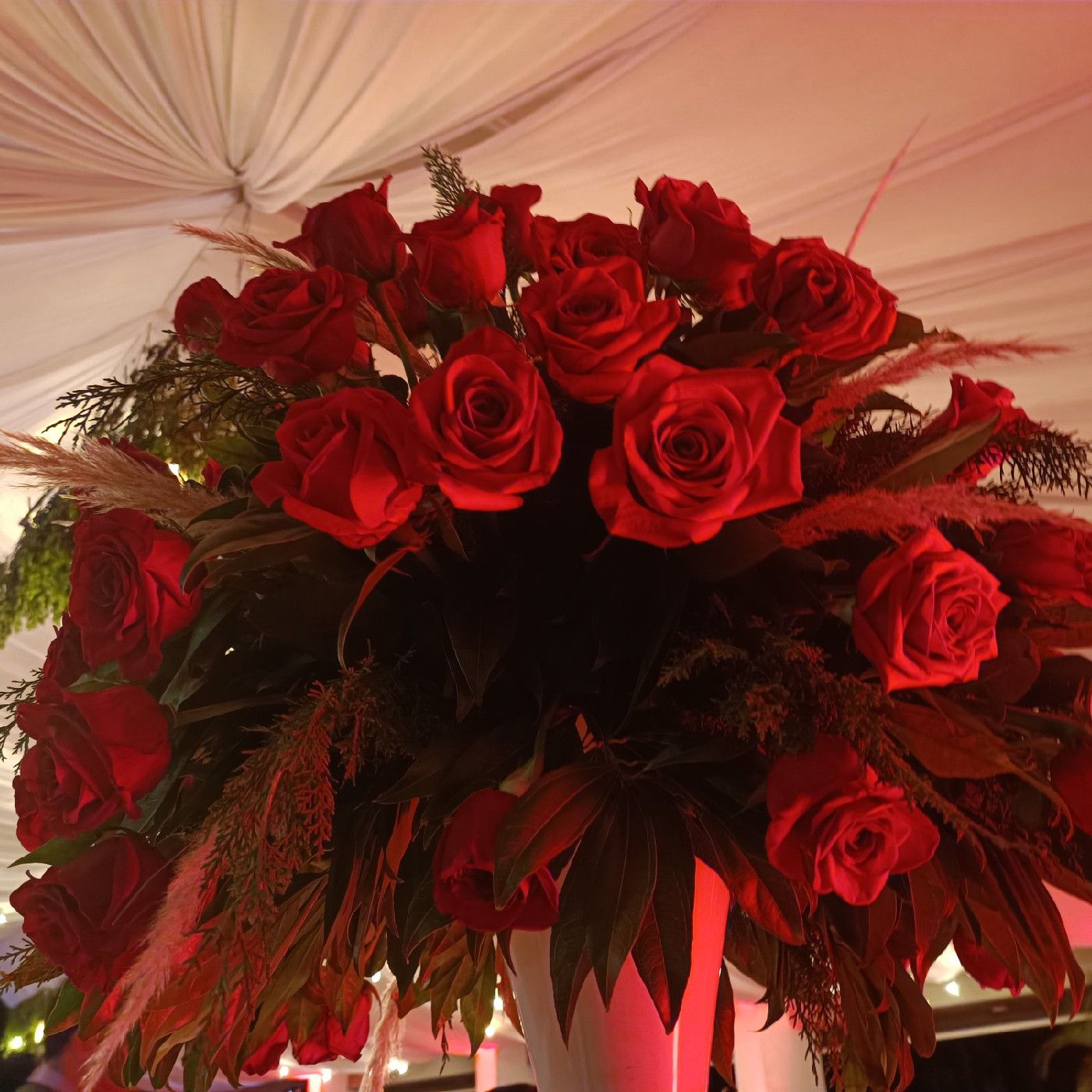 El podcast de MaC-Poemas