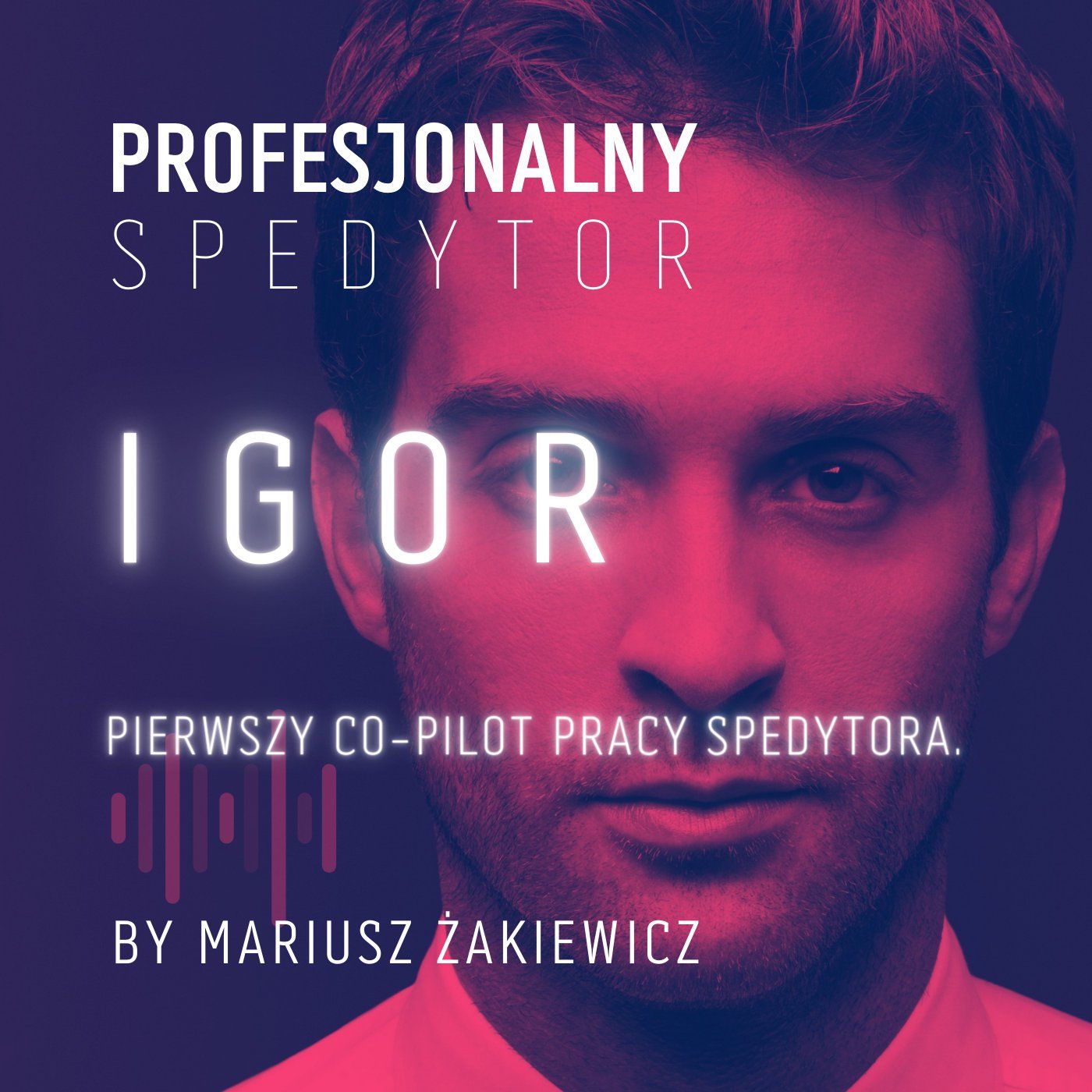 Profesjonalny Spedytor