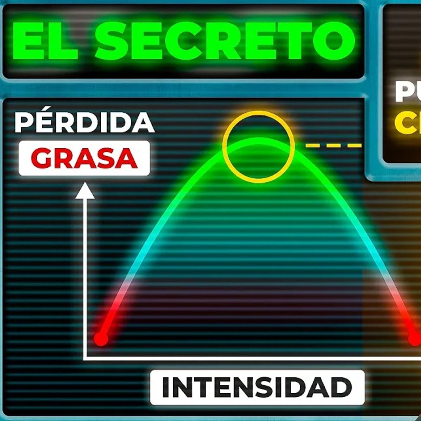 Cómo ser un EXCELENTE QUEMADOR de GRASAS: entrenamiento FAT-MAX explicado (Nuevo Estudio)
