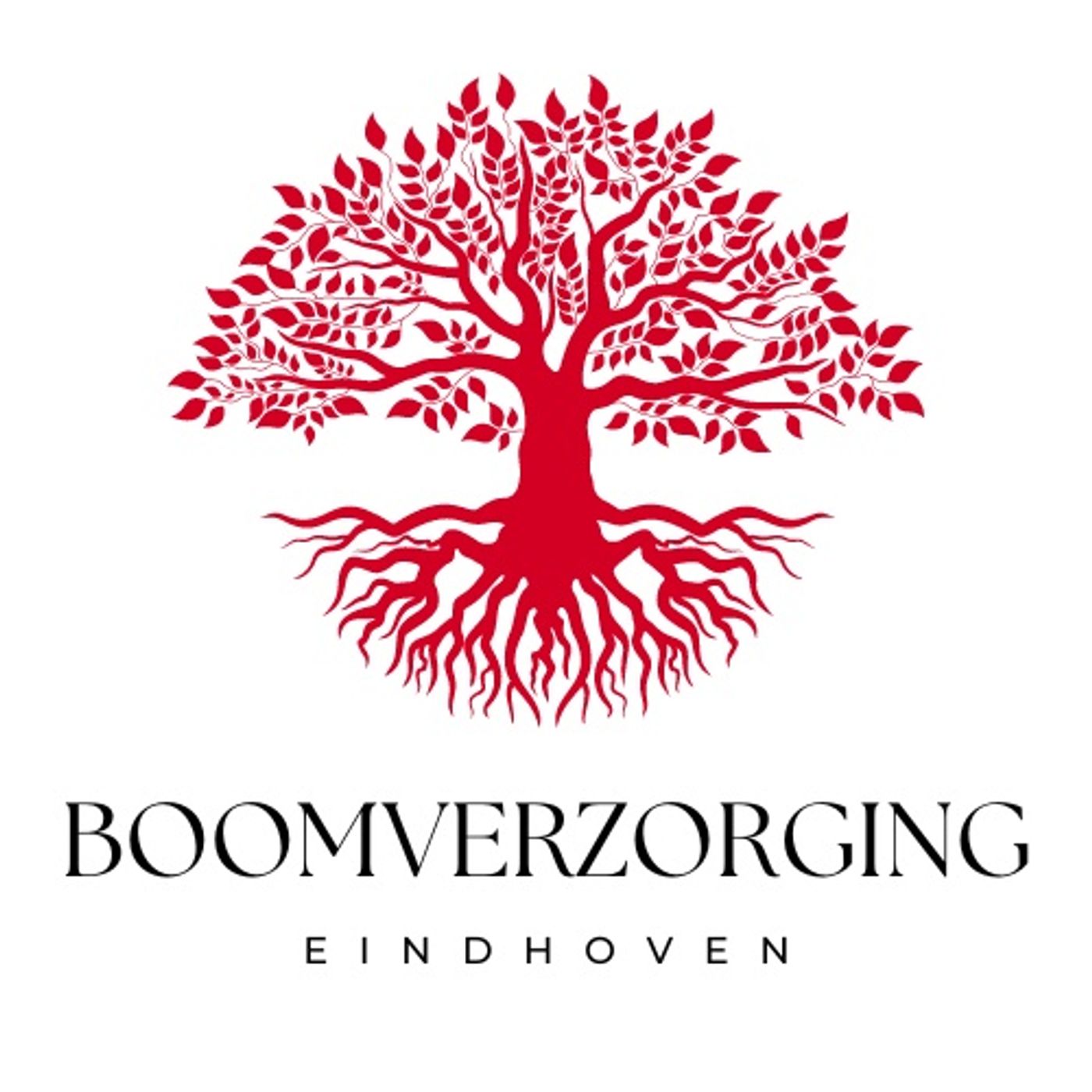 Boomverzorging Eindhoven