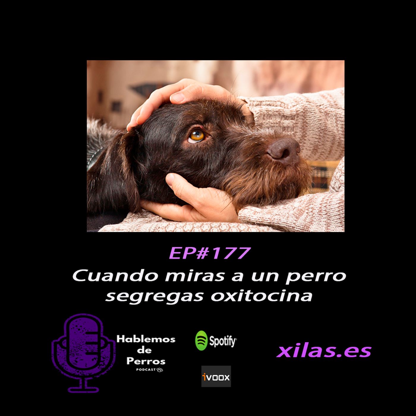 Hablemos de perros