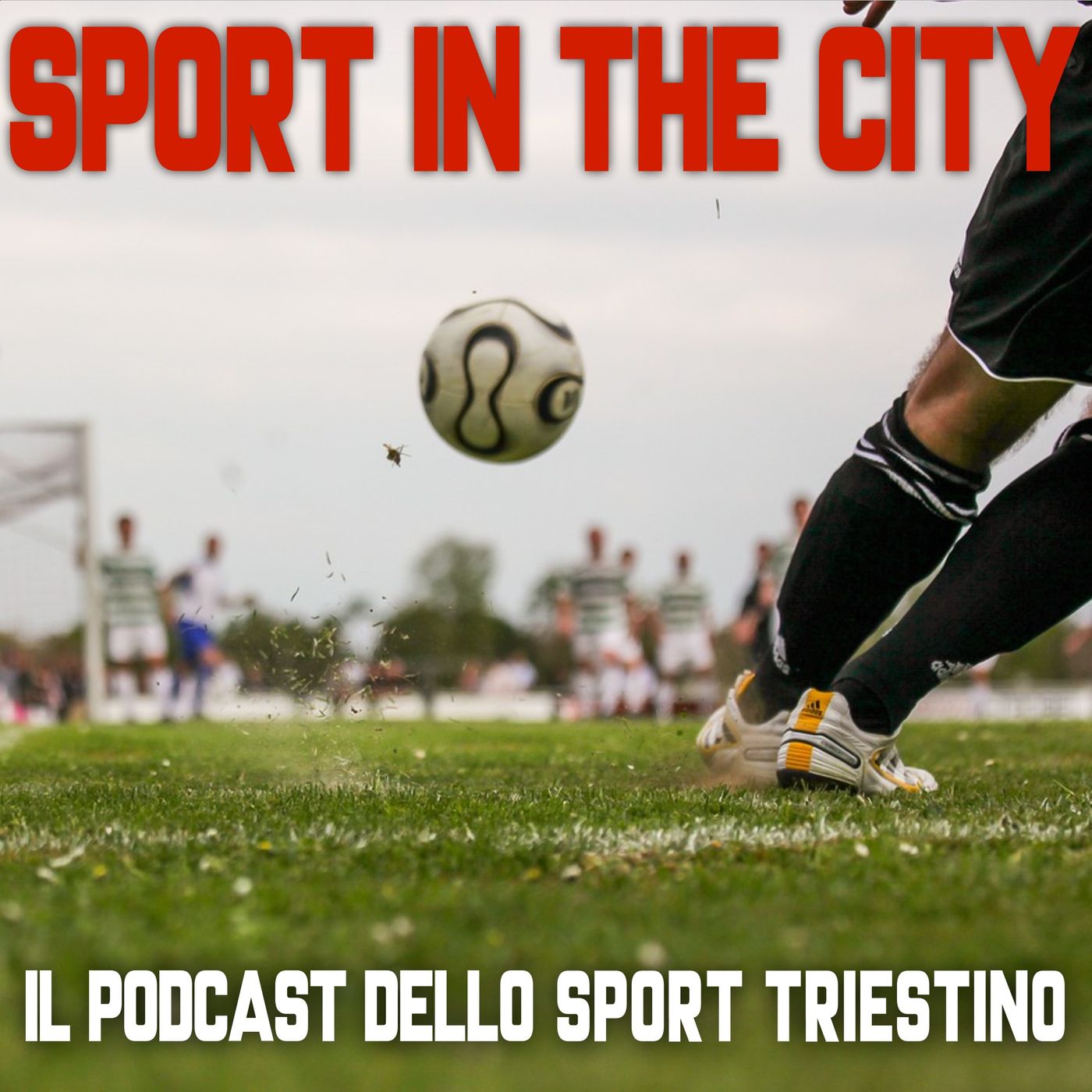 Sport In The City #332 del 12 02 2024