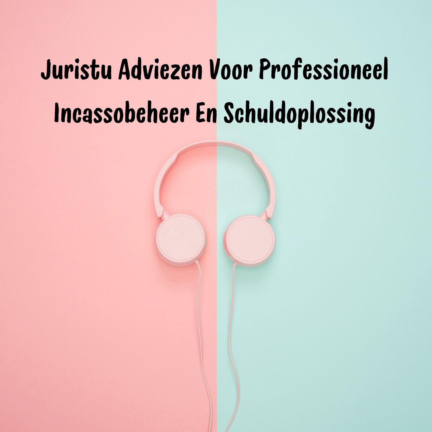 Juristu Adviezen Voor Professioneel Incassobeheer En Schuldoplossing Juristu Adviezen Voor Professioneel Incassobeheer En Schuldoplossing