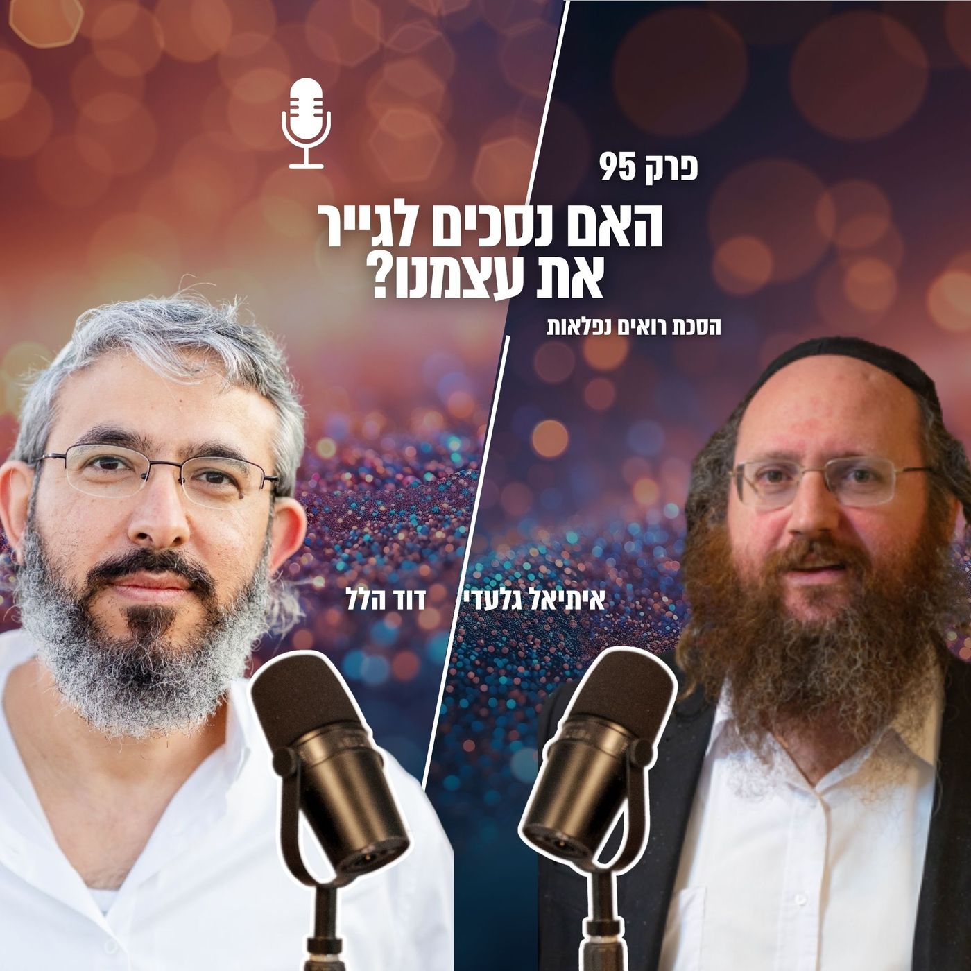 האם נסכים לגייר את עצמנו? | פרק 95 | הסכת רואים נפלאות episode artwork