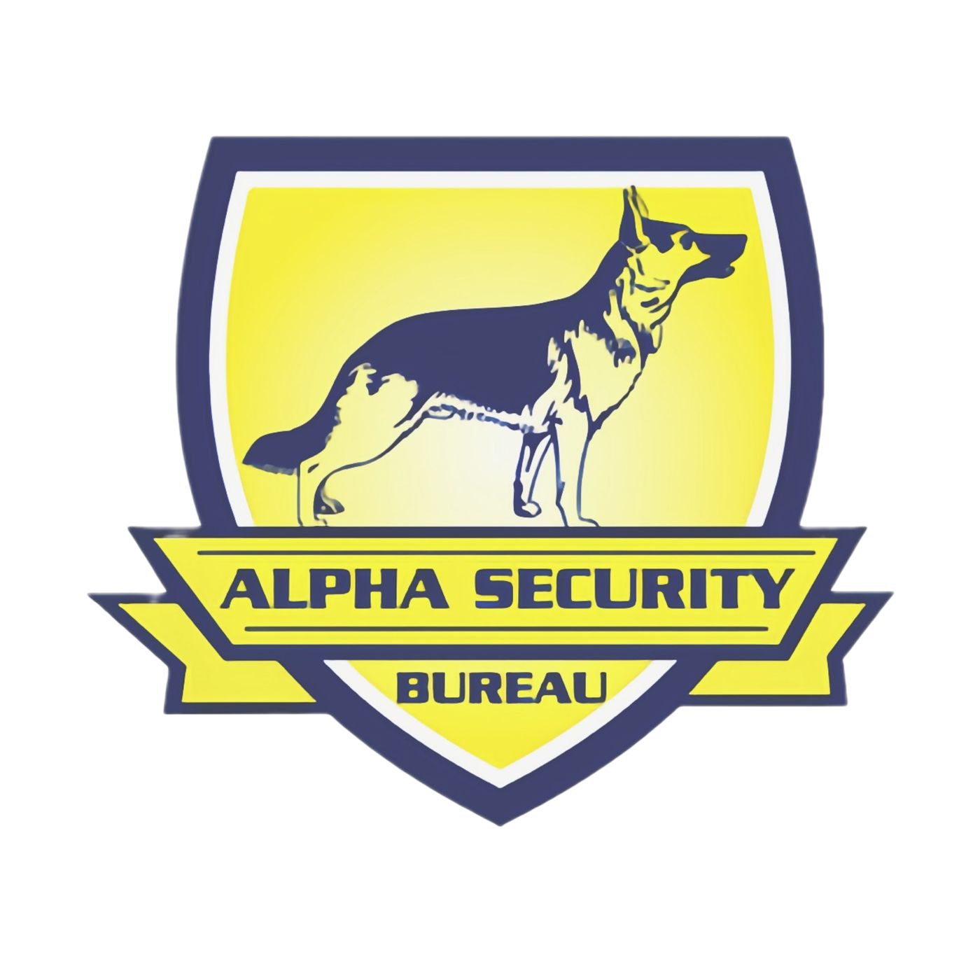 Security Insights USA