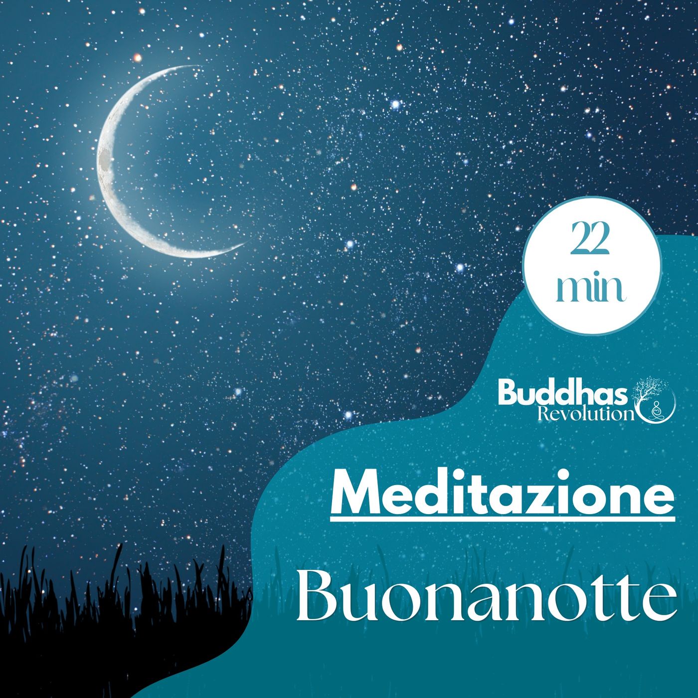 Buddhas Revolution