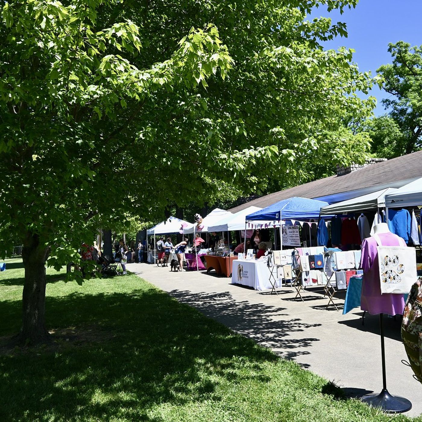 Oglesby’s ‘Bark in the Park’ returns with dogs, vendors and games episode artwork