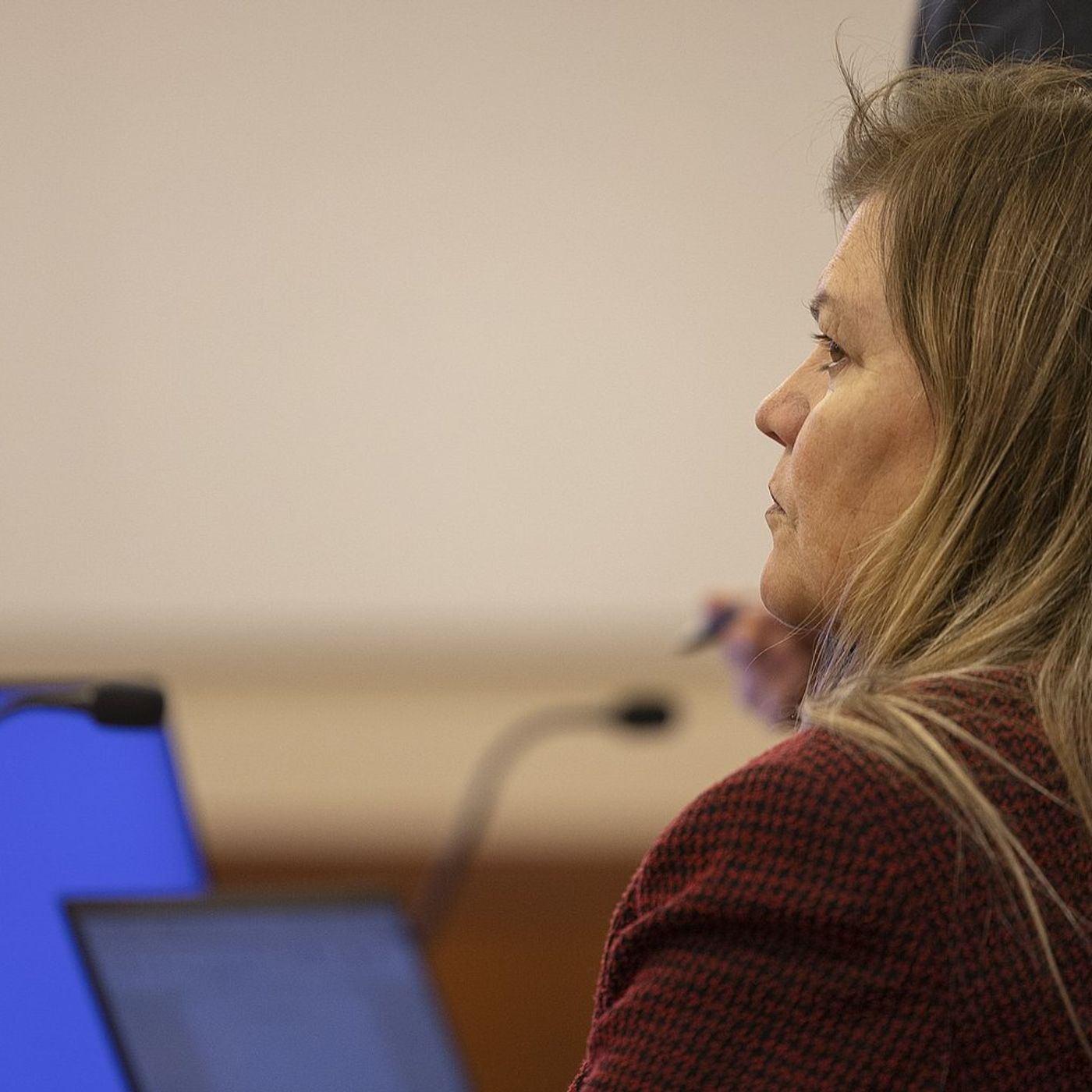 Defense attorney says charges filed against animal activist are retaliation over Rochelle rodeo controversy episode artwork