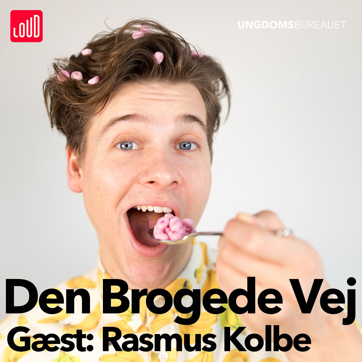 Den Brogede Vej