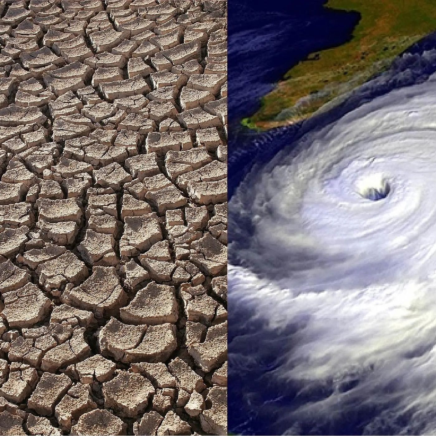 Cambio climático y calentamiento global
