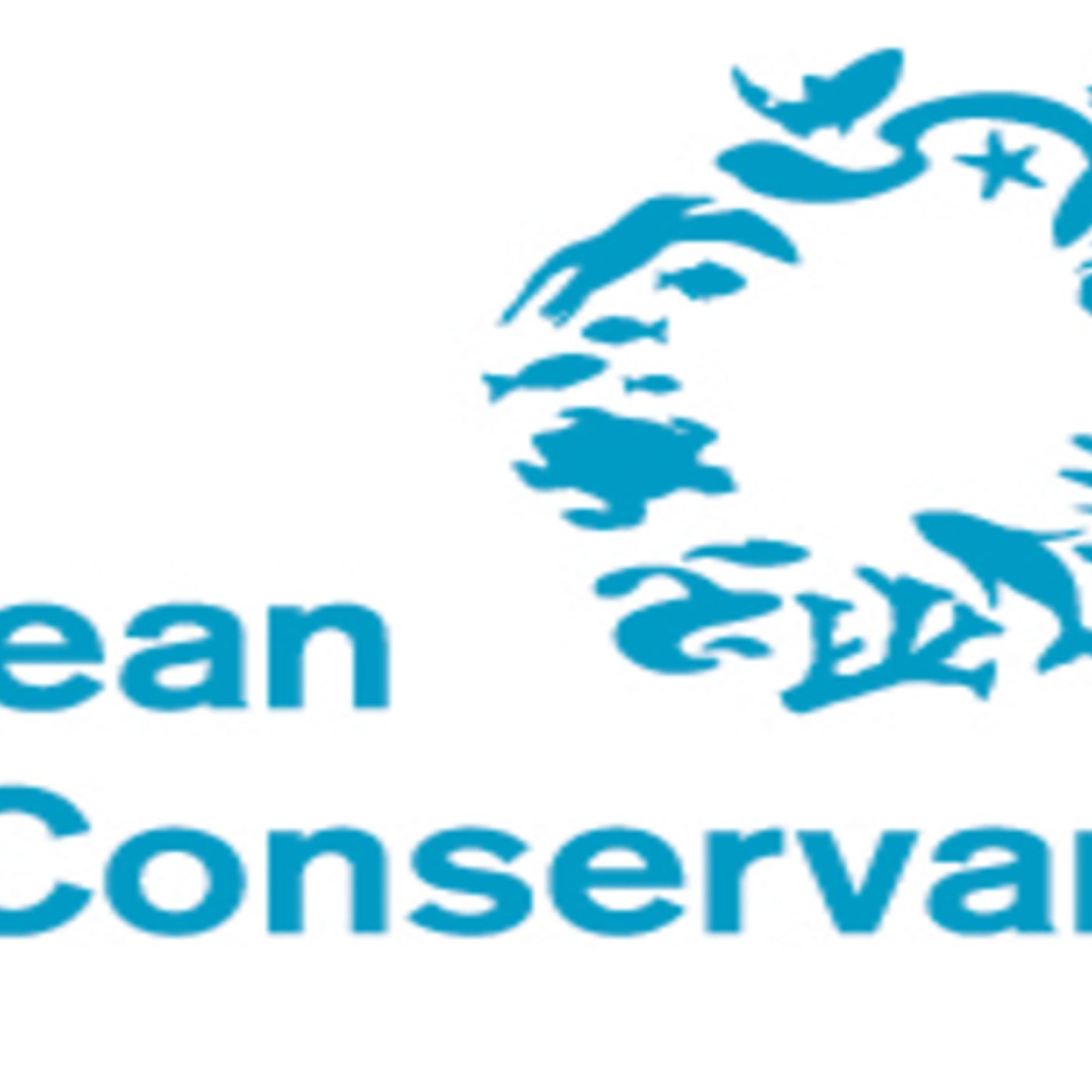 Gulf Coast Focus: Oil Spill Environmental Update