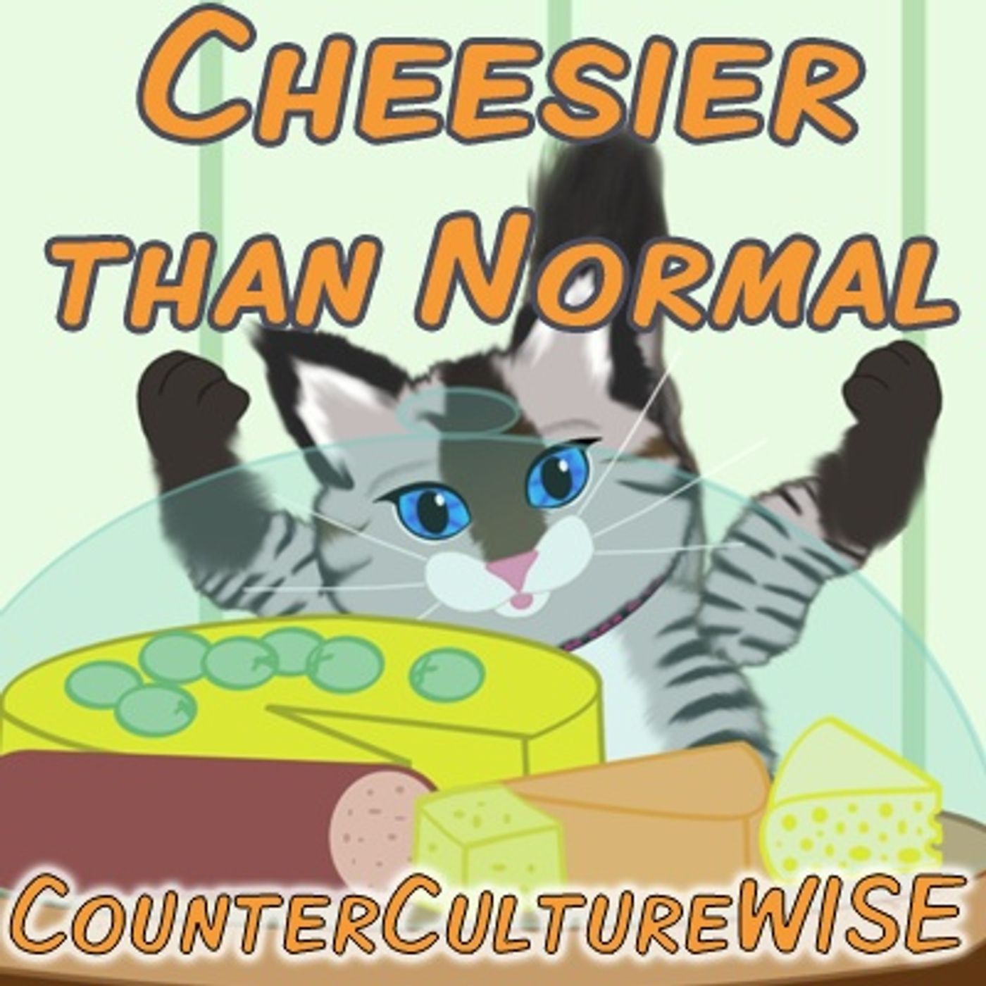 CounterCultureWISE