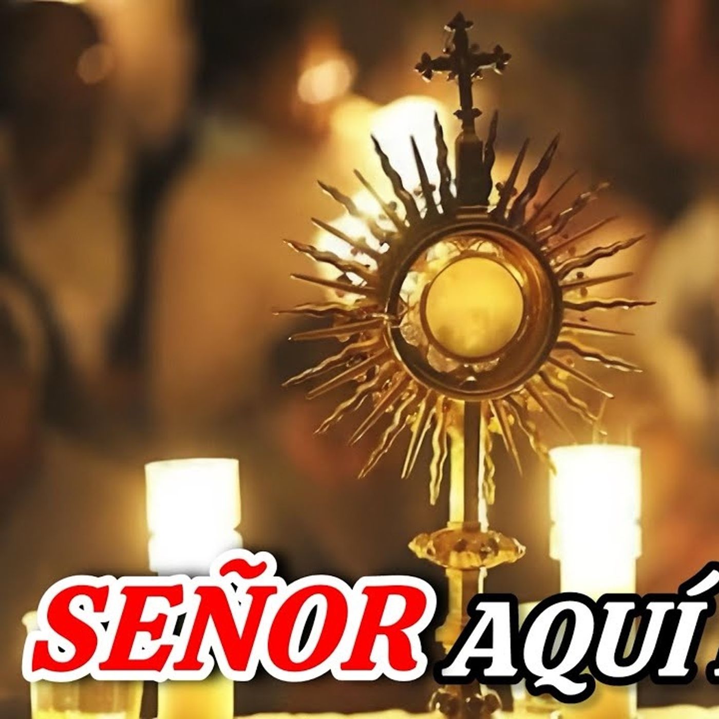 88-26_ ADORACIÓN AL SANTÍSIMO JUNTOS por VENEZUELA  ESPECIAL _ Padre Luis Toro episode artwork