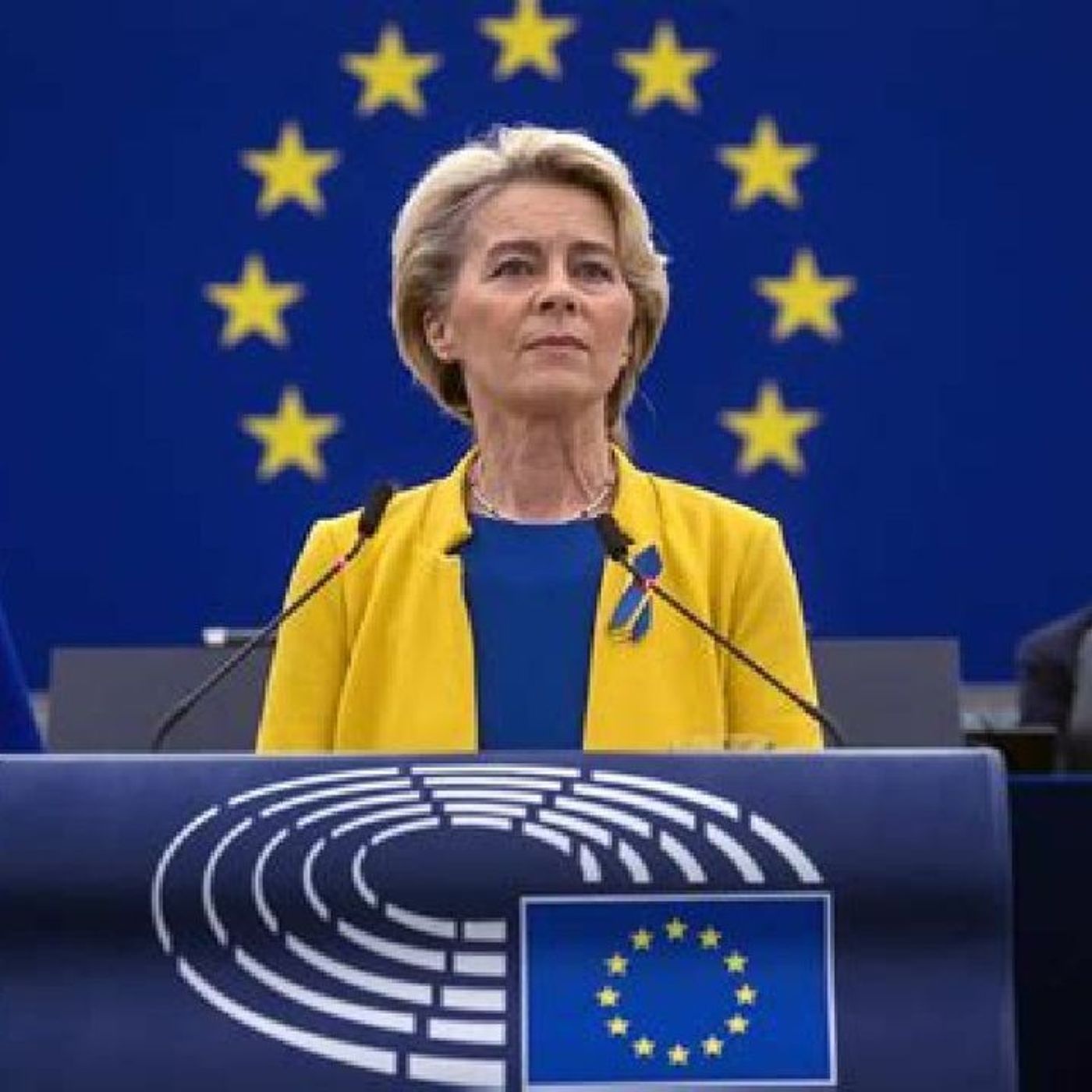 EURO CAMERA VUOLE FAR CHIAREZZA SUL RIARMO E VON DER LEYEN Ep. 138 - SPEZIE&CRIME episode artwork