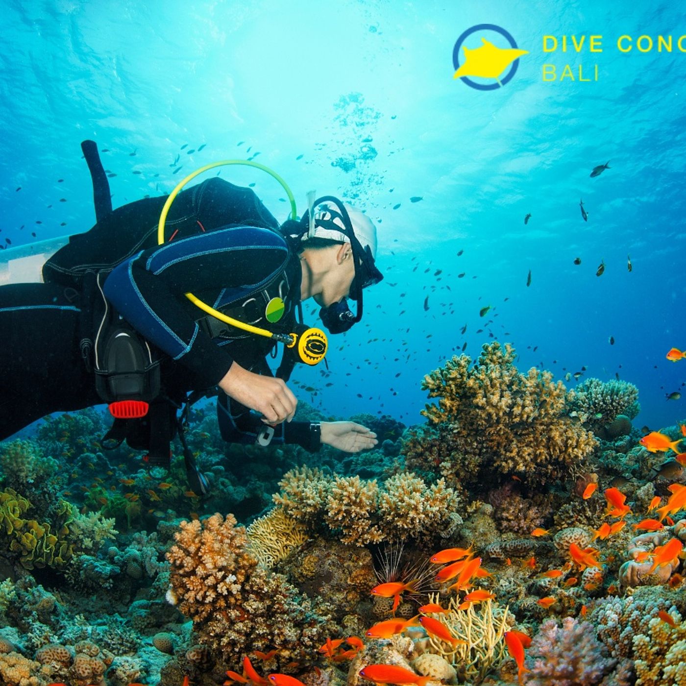 Scuba Diving in Bali Courses and Guided Dive Experiences episode artwork