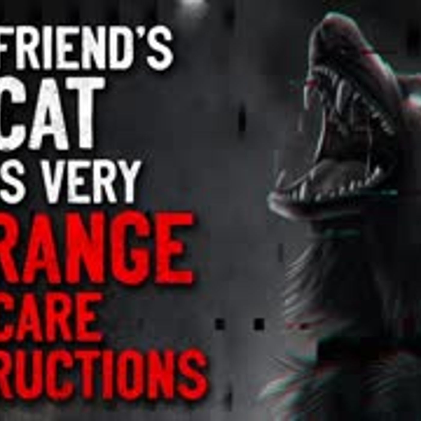 "My friend's cat has very strange care instructions" Creepypasta - podcast episode cover