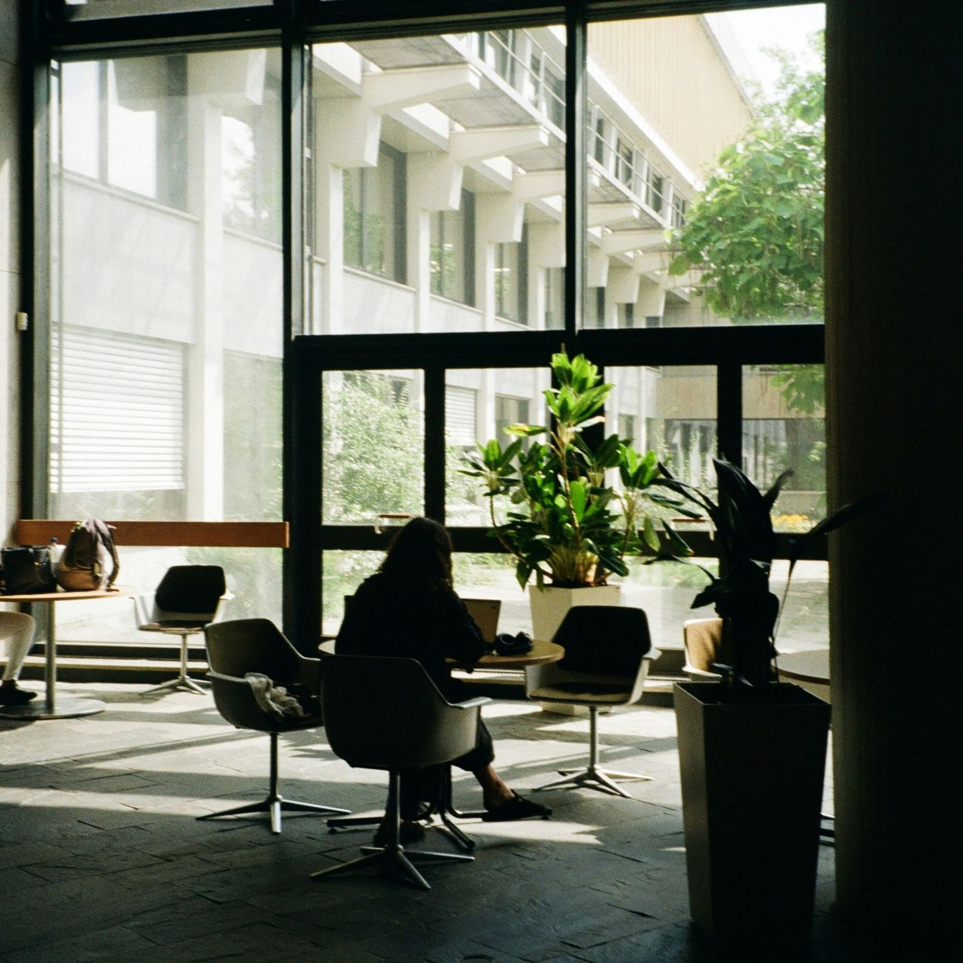 Actitudes,creencias  y obligaciones cover art