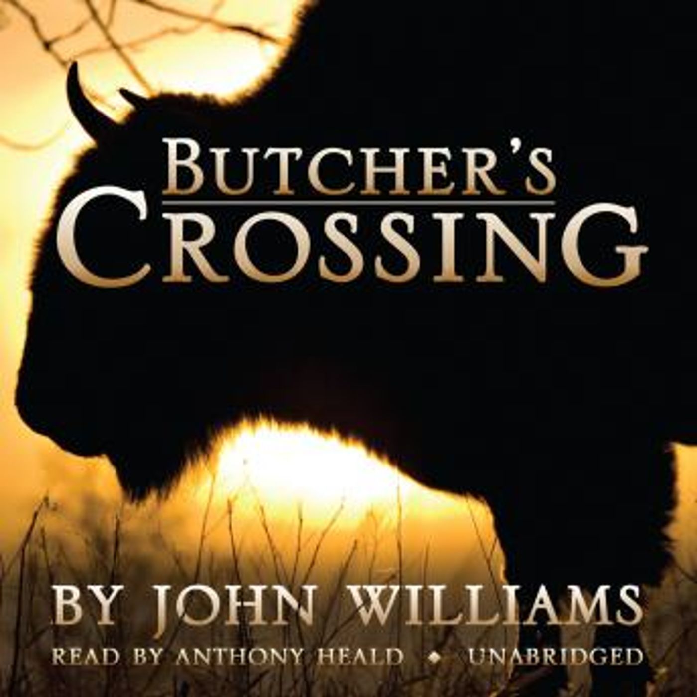 Unlock Top Full Audiobooks in Fiction, Westerns & War