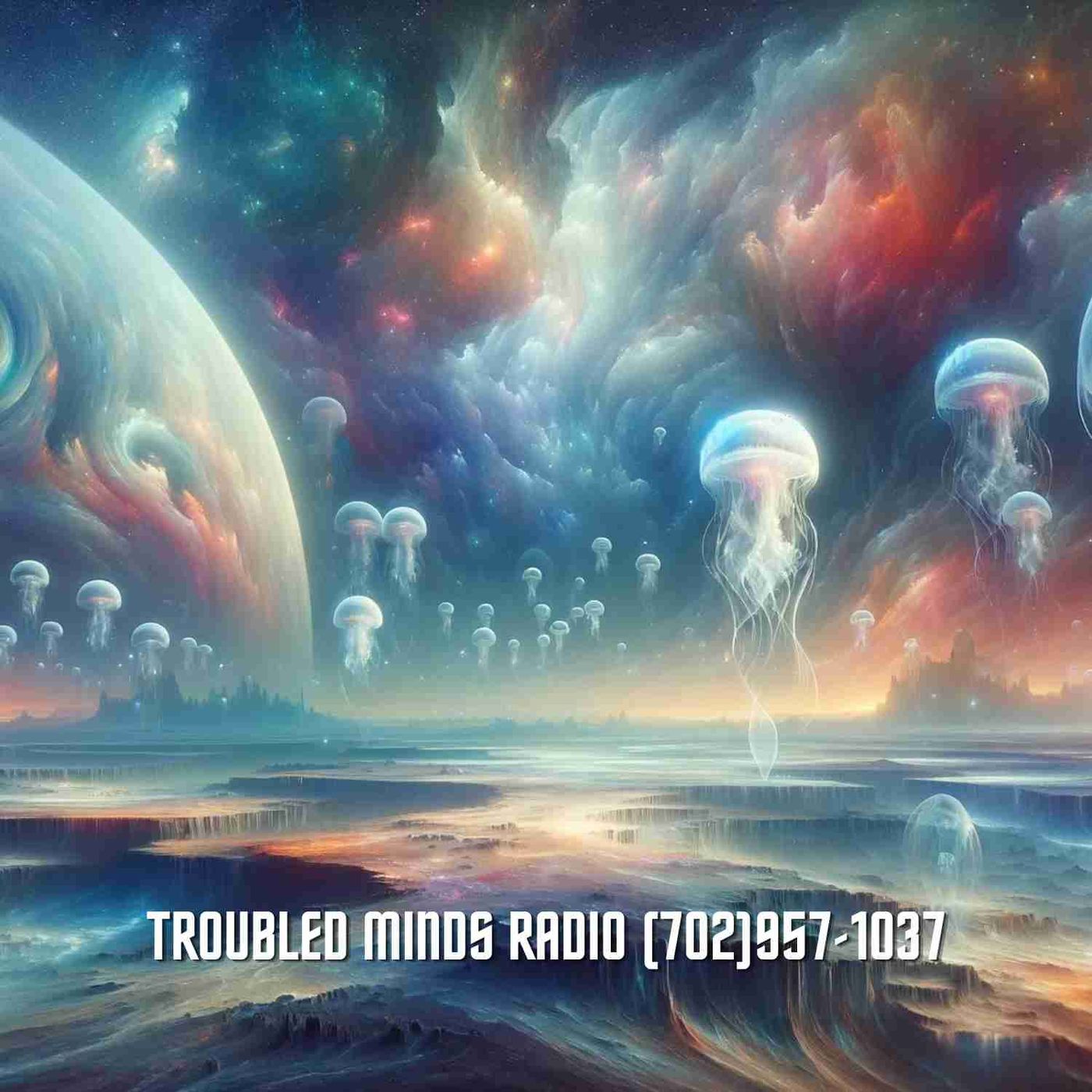 The Jellyfish UFO - Beyond the Belief System Territory