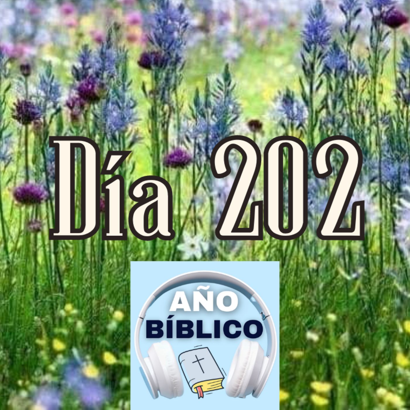 Día 202 - Salmos 84:1-4, 2 Crónicas 32; 2 Crónicas 33:1-20 y Romanos 14:10-23 episode artwork