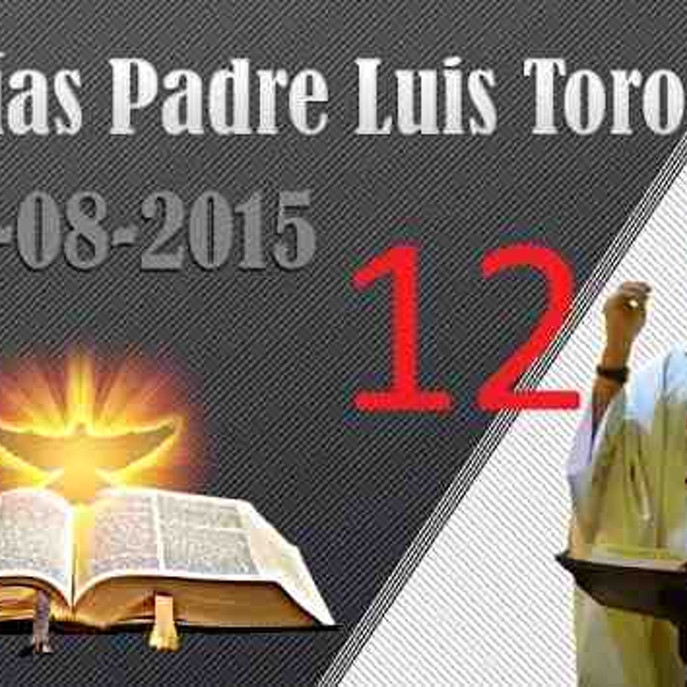 Homilía del 16-08-2015 - Padre Luis Toro(MP3_160K) episode artwork