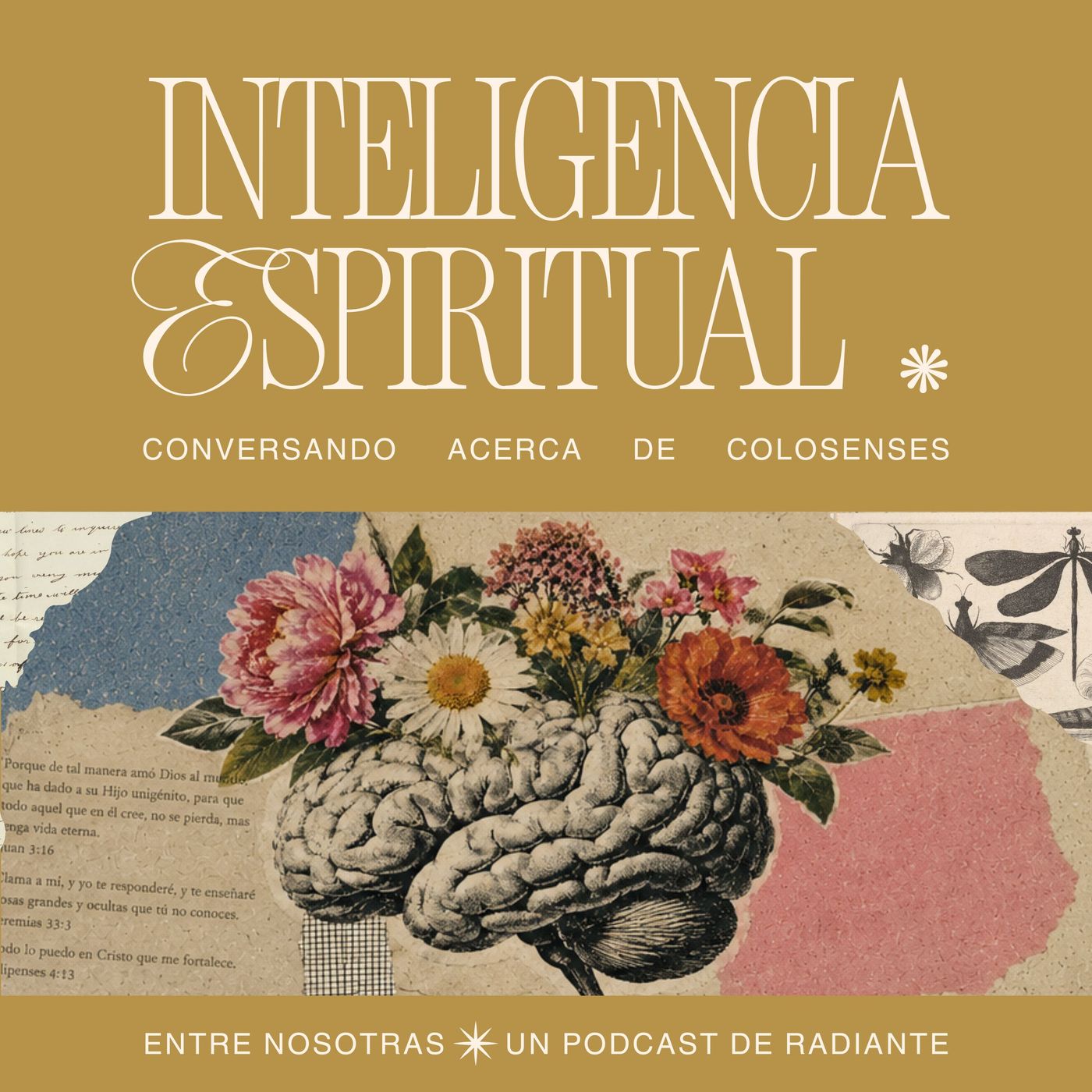 Portada de Entre Nosotras PODCAST Radiante