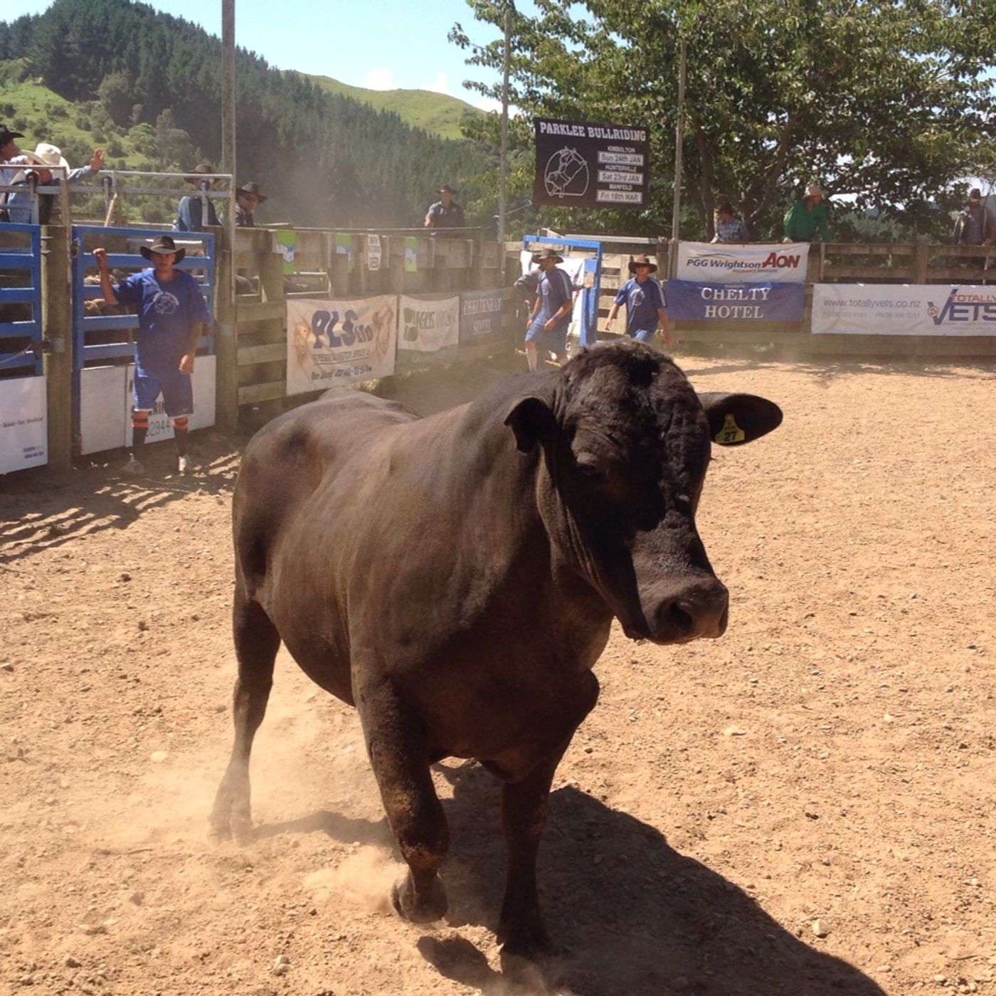 First Time Bull Riders Experience at Parklee Bucking Bulls episode artwork
