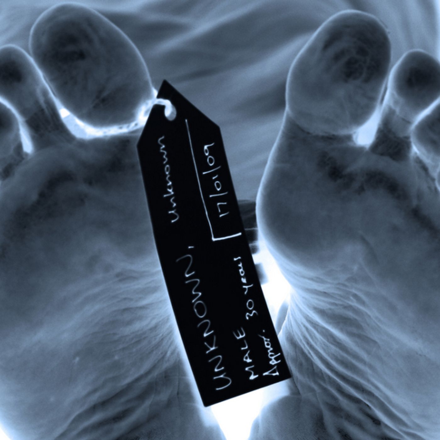 The Bogus Beavers Of Barnakver - Part 2