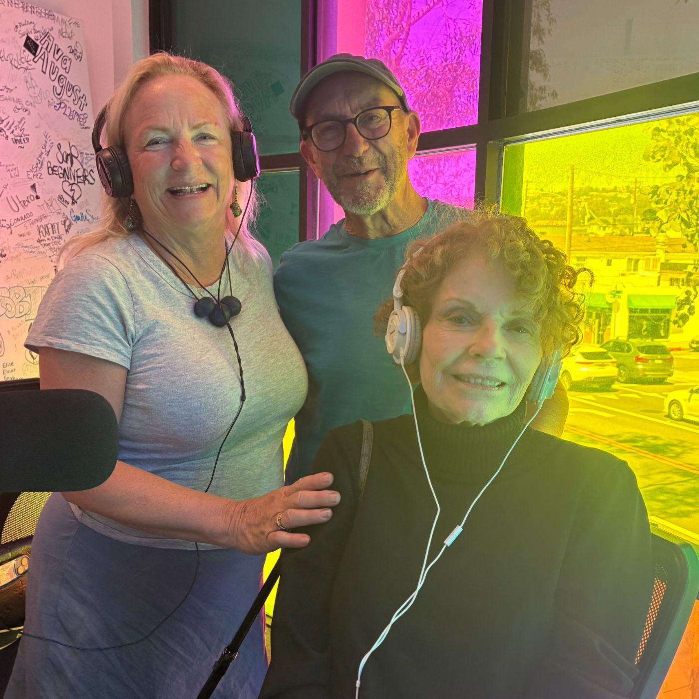 Village Laguna- Laguna Hillsides In Peril With Joy Berry