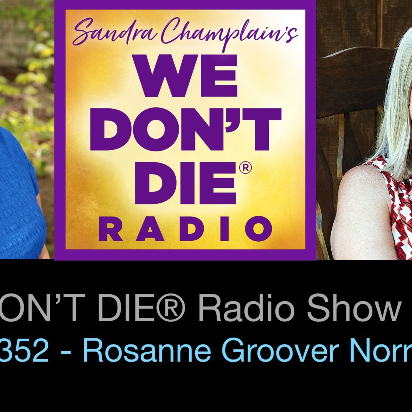 352  Rosanne Groover Nooris - beLEEve - A Story of Hope and Healing episode artwork