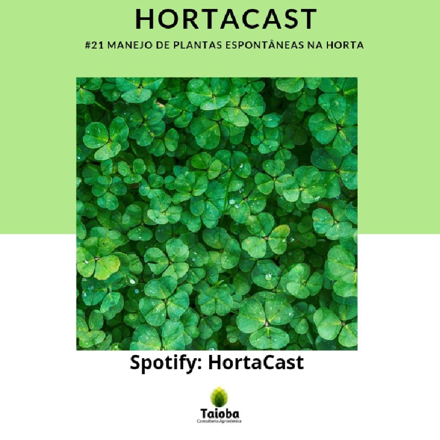 HortaCast\'s show