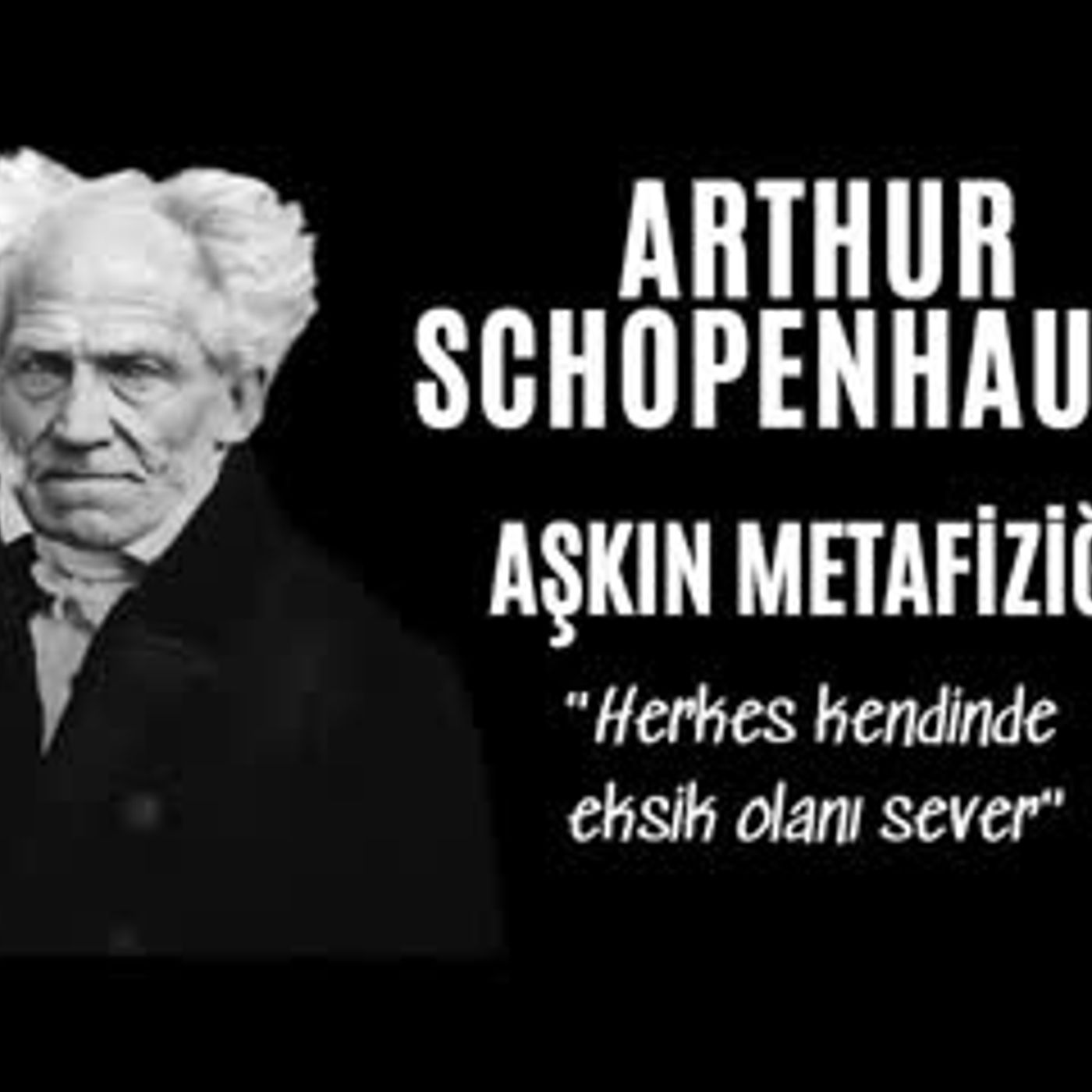 Arthur Schopenhauer - Aşkın Metafiziği - Sesli Kitap Dinle