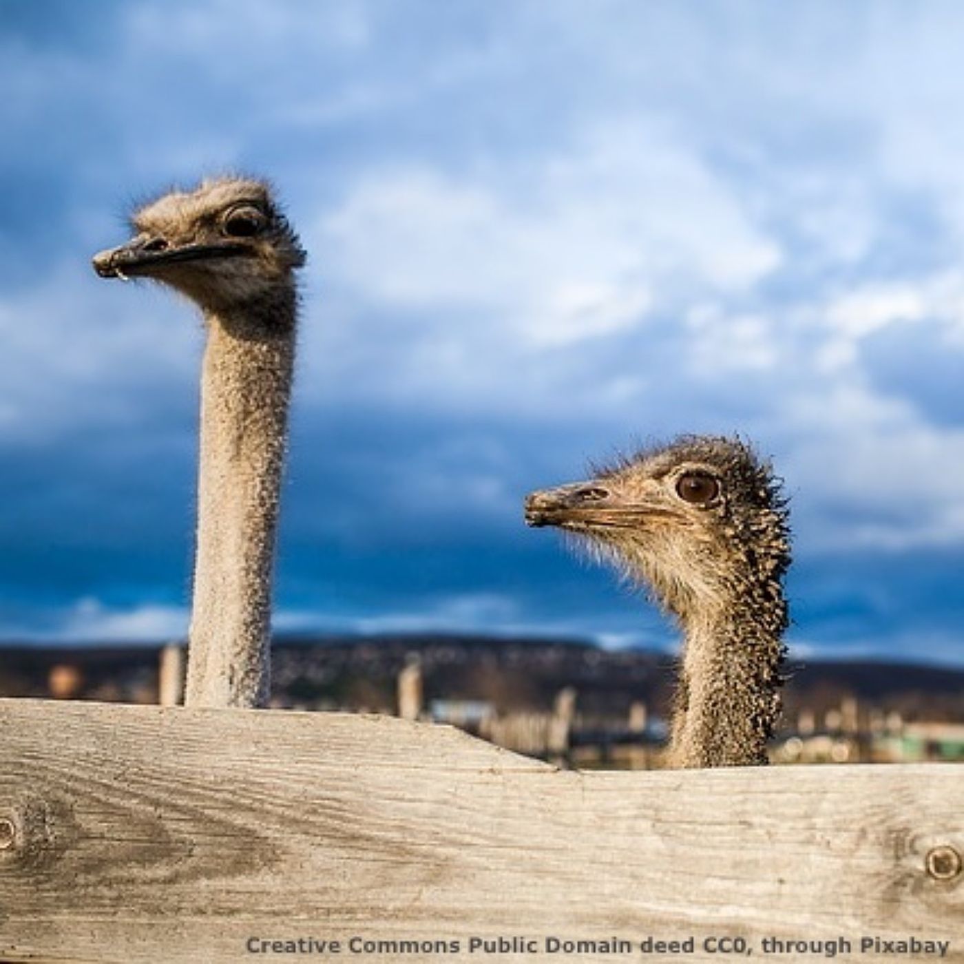 Agenda 2030 o 21 dell'ONU? Non dovrebbe influenzare Society 5.0