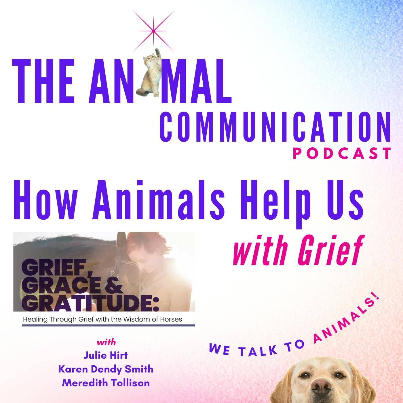 How Animals Help Us with Grief with Anna Marie Ellison