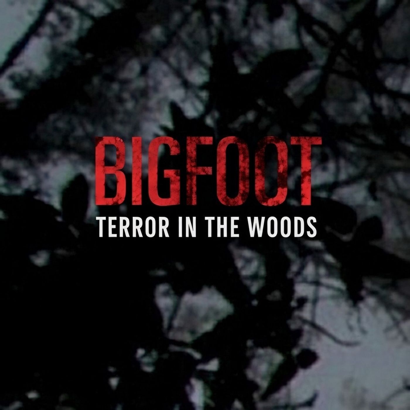 Roadside Bigfoot Sighting in the Chattahoochee - Bigfoot Terror In The  Woods episode artwork