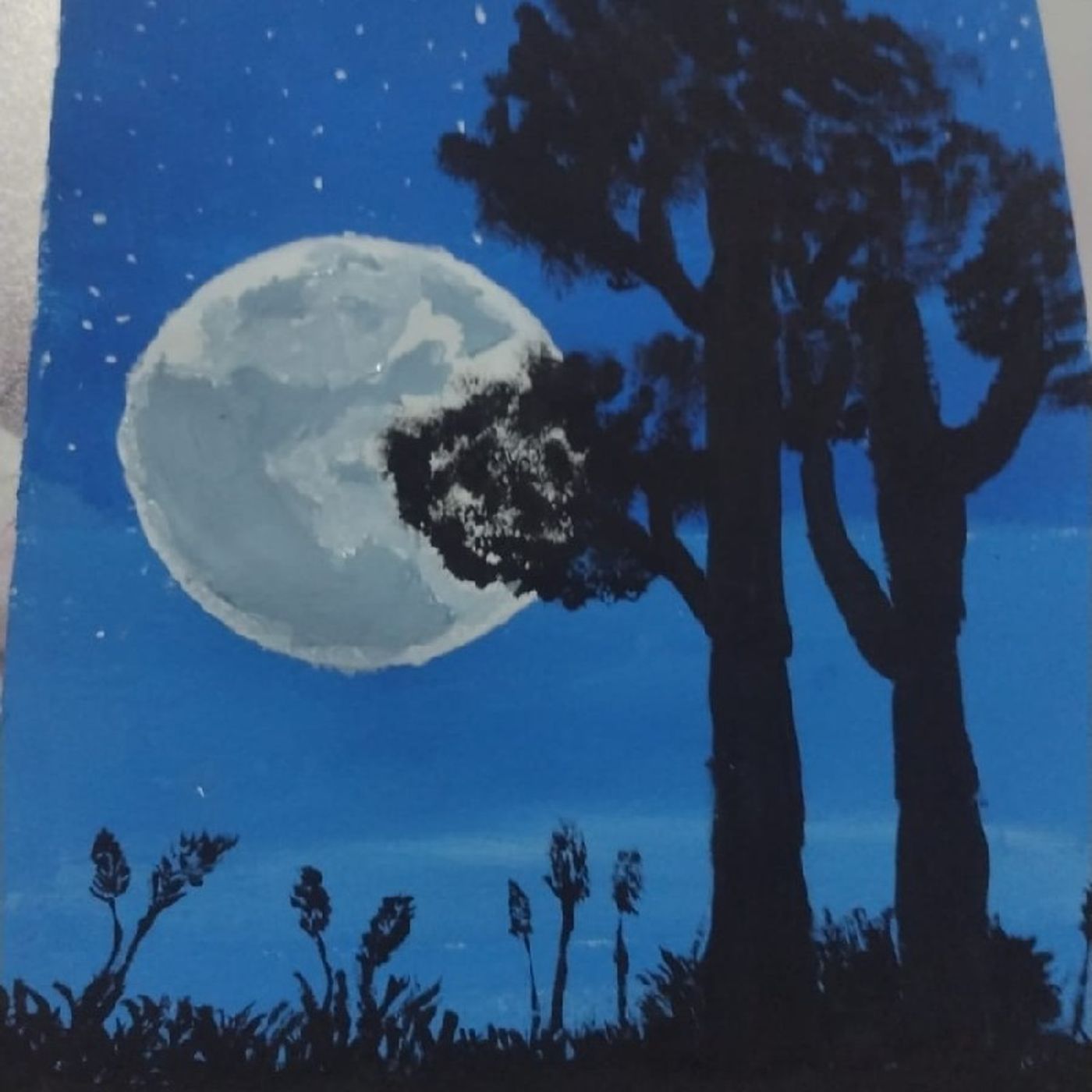 EL VIEJO Y EL MAR episode artwork