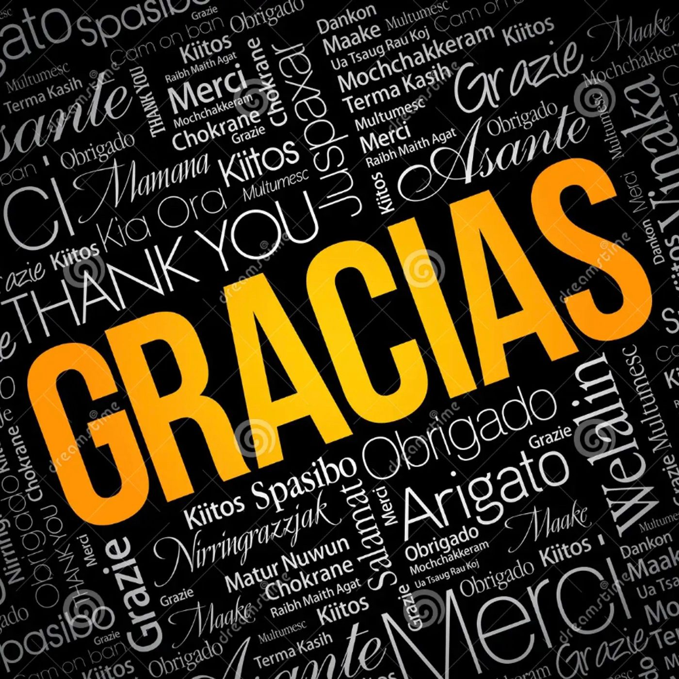 #221 Gracias