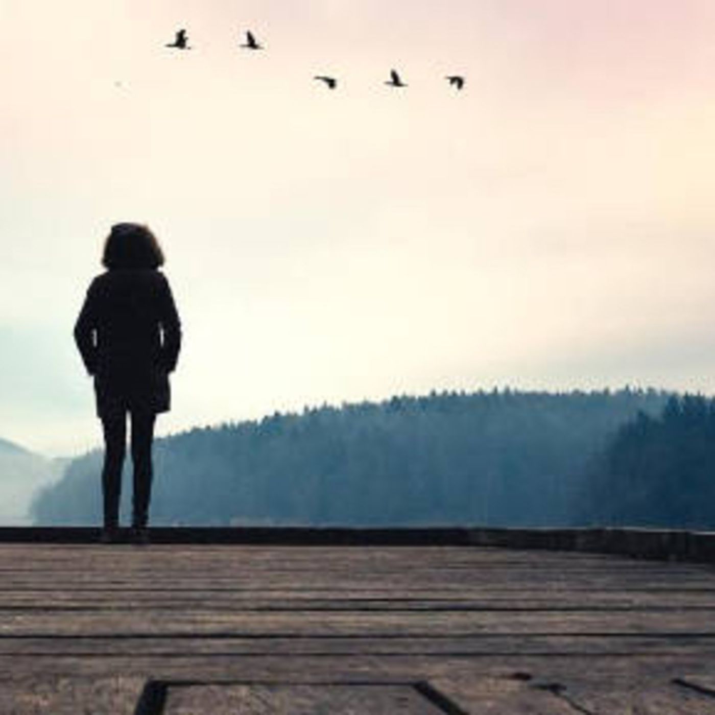 Claro de luna: libros & cultura