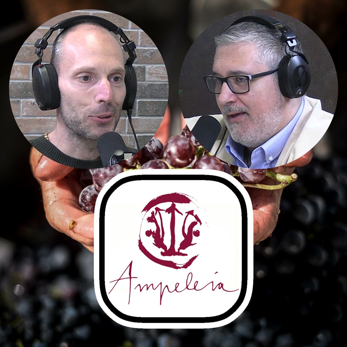 Storie di Vino e Viticoltori