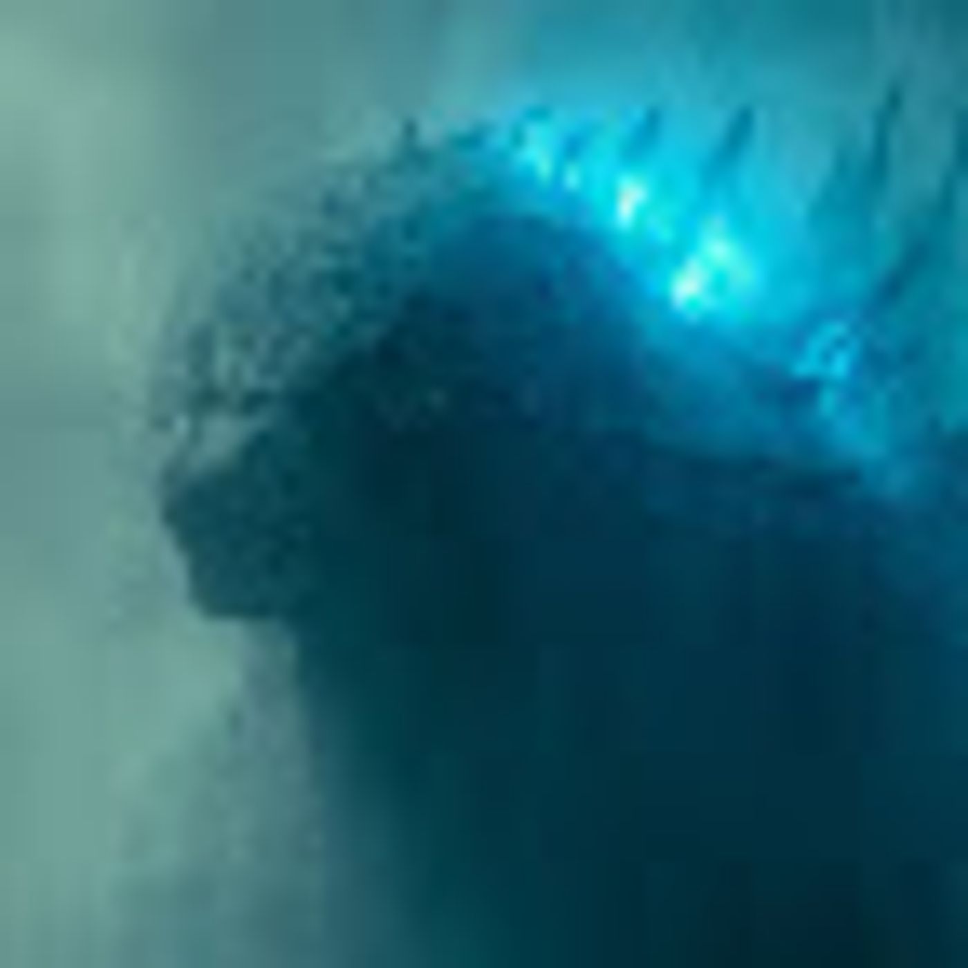 The Movie Breakdown