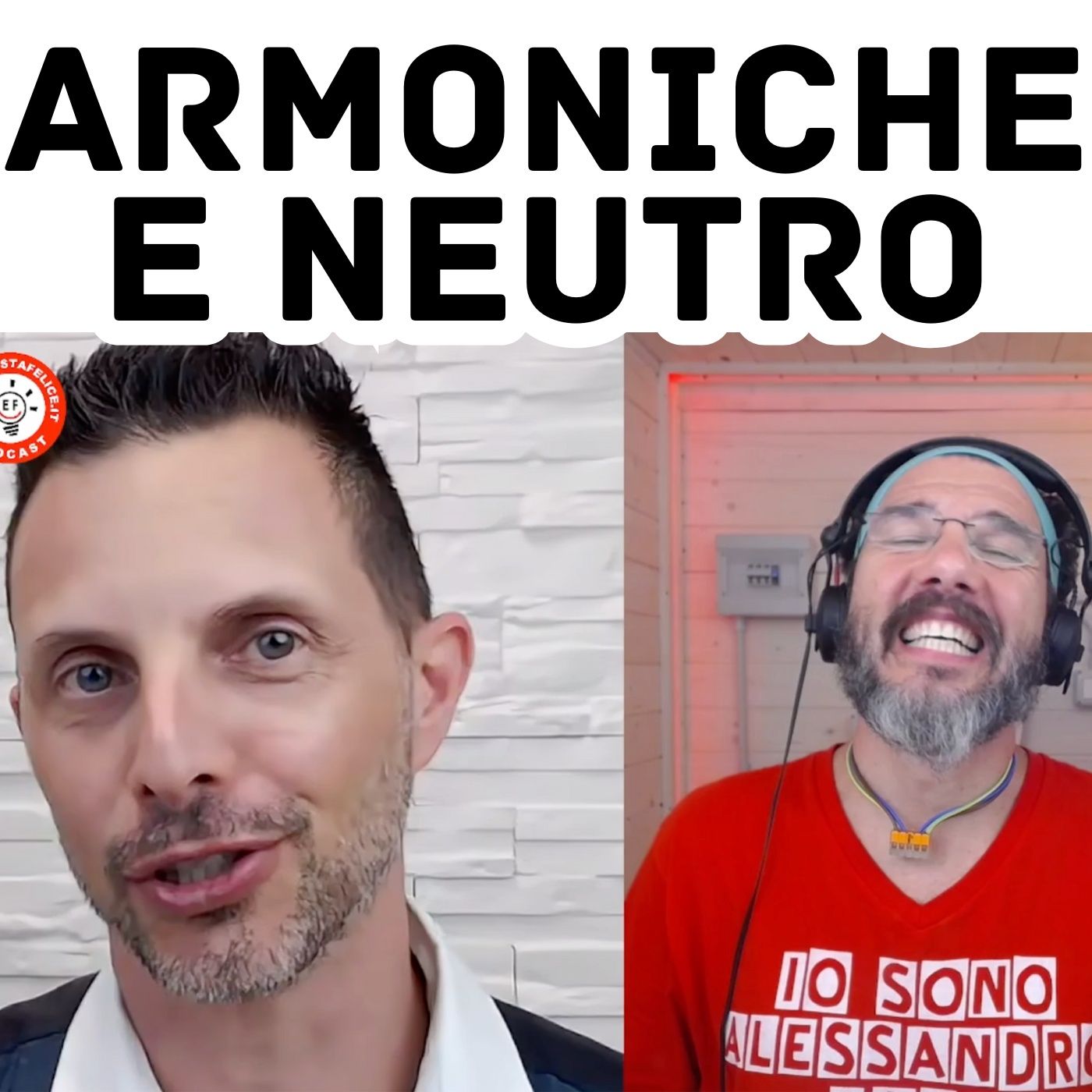 Le Armoniche come influiscono nella Sezione del Neutro? #463