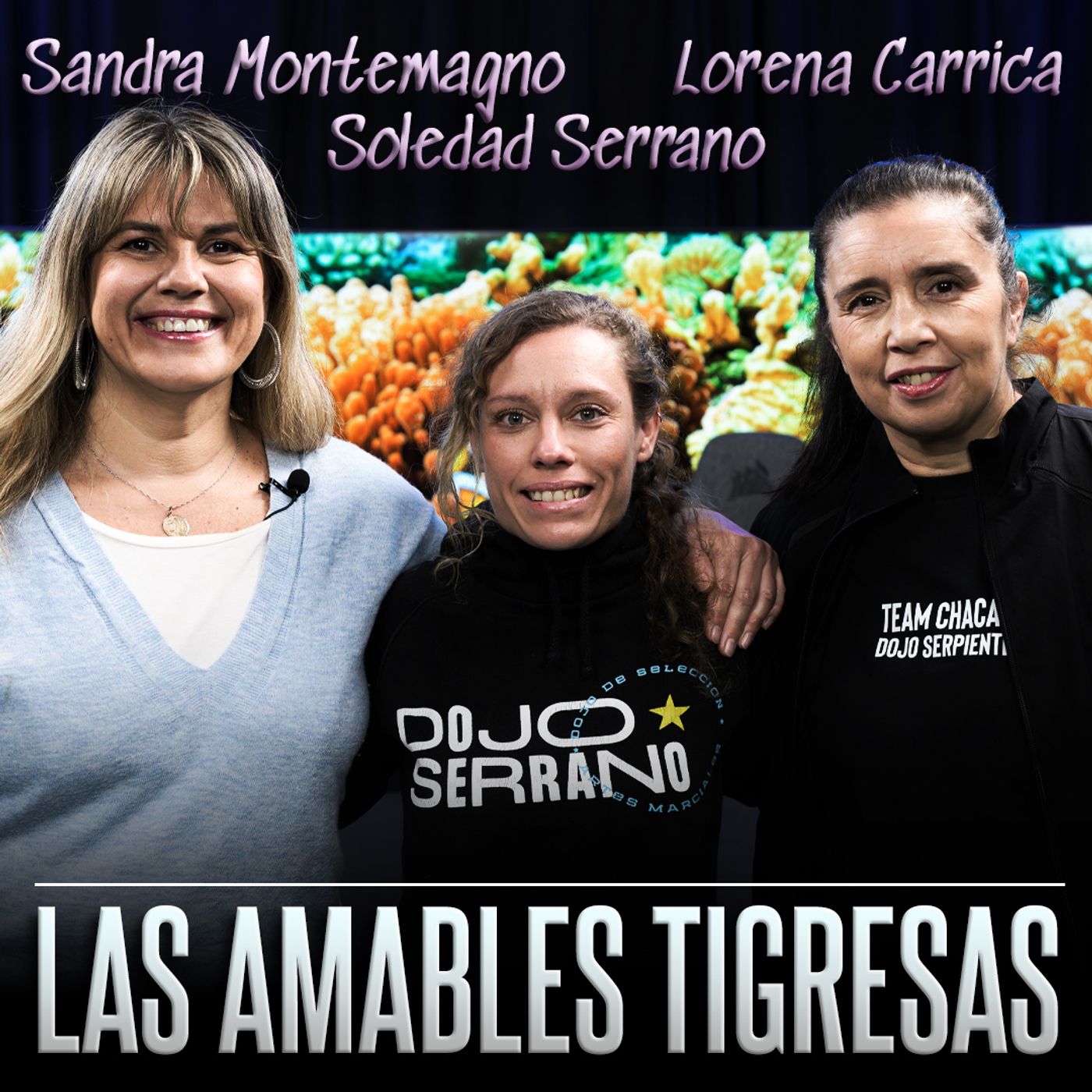 LA MESA DE MAESTRAS 4: "LAS AMABLES TIGRESAS" episode artwork