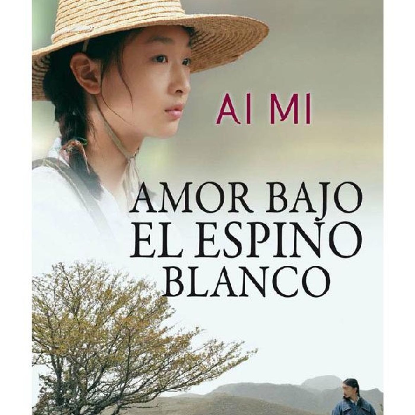 Historias de los Libros