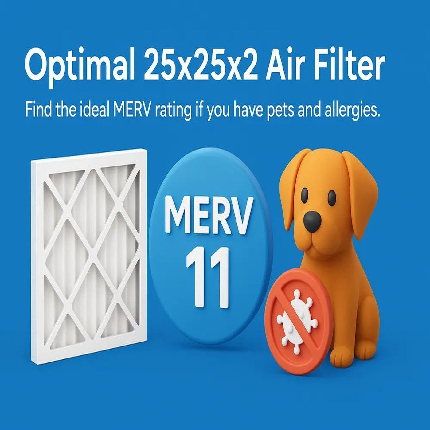 Best MERV Rating for a 25x25x2 Air Filter If You Have Pets and Allergies episode artwork