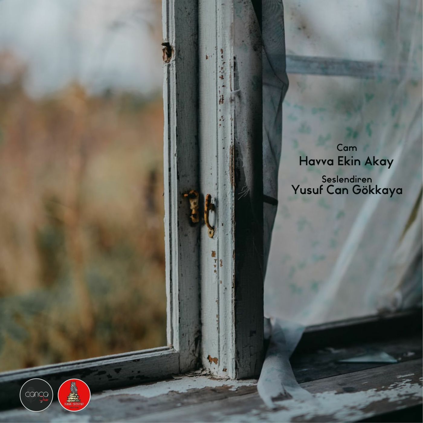 Öykü | Havva Ekin Akay - Cam episode artwork