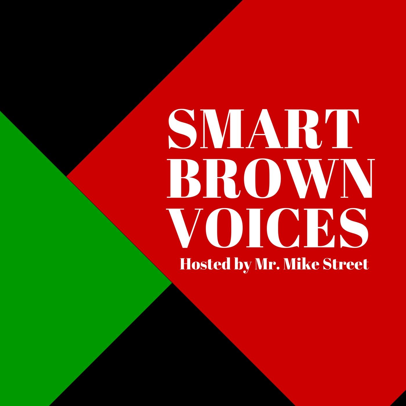 #SmartBrownVoices : Diverse Voices